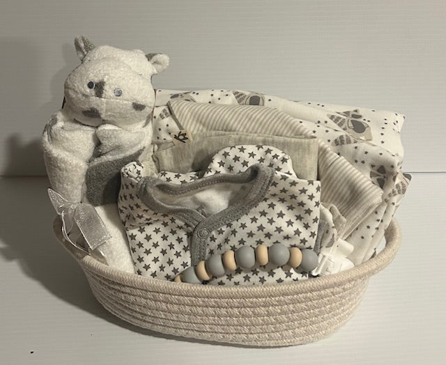 Baby Bundle- Unisex Gift Basket