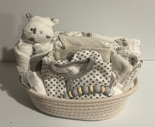 Baby Bundle- Unisex Gift Basket