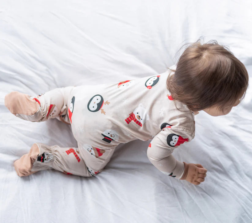Bamboo Footies with Two Way Zipper (Snowy Faces Print)